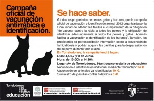 Campaña oficial de vacunación e identificación de perros, gatos y hurones