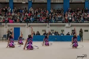 La Gimnasia Rítmica de Torrelodones demuestra su calidad indiscutible