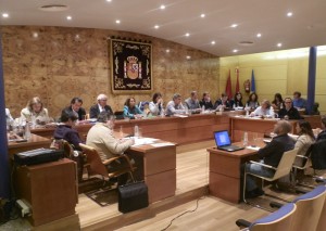 Pleno Torrelodones (Foto: 20-05-13)